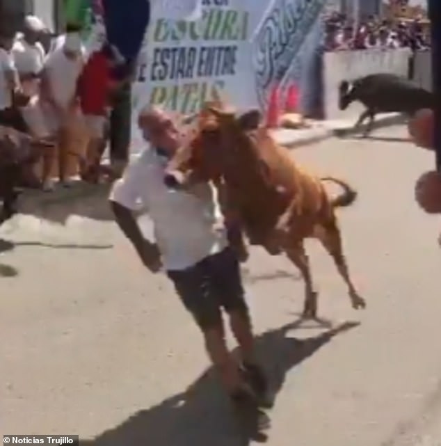 Miraculous Survival as Bull Attack Shocks Peru Festivalgoers