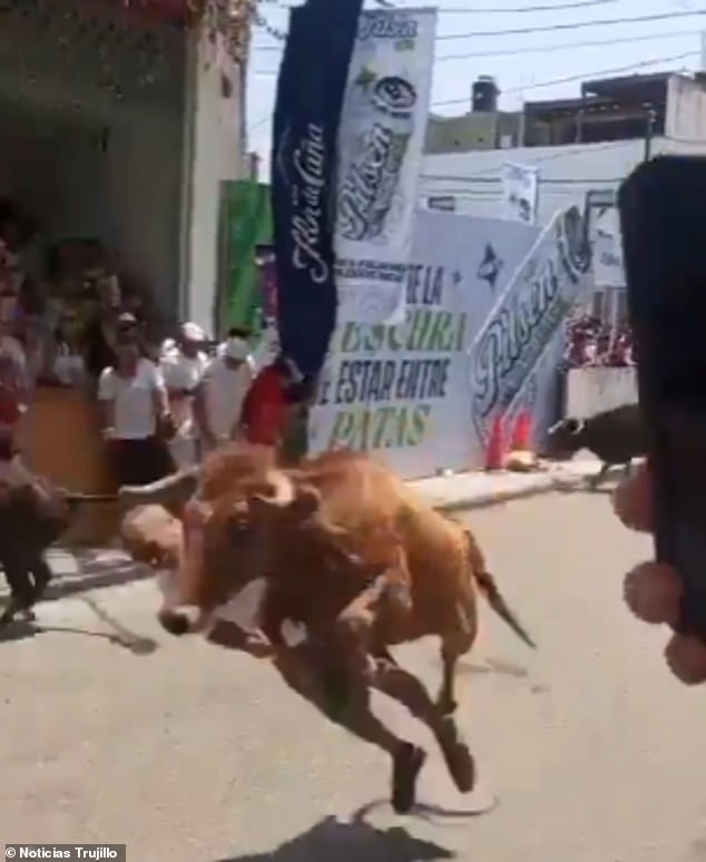 Miraculous Survival as Bull Attack Shocks Peru Festivalgoers