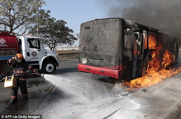 From Cartel Chaos to Historic Floods: A Couple's Unexpected Odyssey Through Mexico and Hawaii