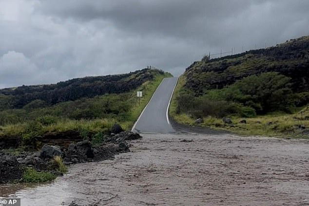 From Cartel Chaos to Historic Floods: A Couple's Unexpected Odyssey Through Mexico and Hawaii