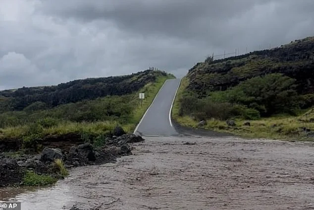 From Cartel Chaos to Historic Floods: A Couple's Unexpected Odyssey Through Mexico and Hawaii