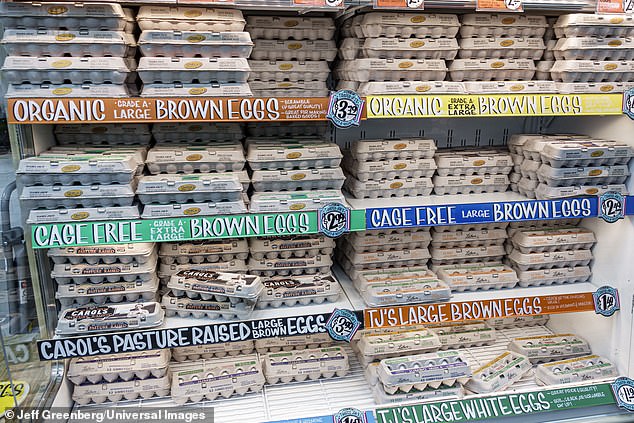 The Organic Myth: What the Label Really Means