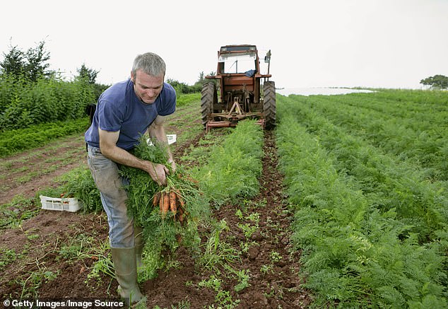 The Organic Myth: What the Label Really Means