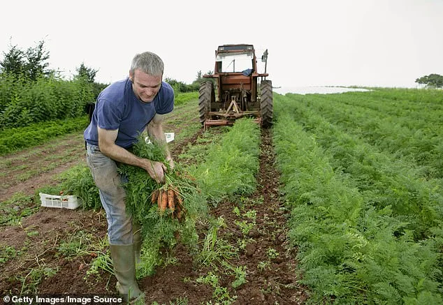 The Organic Myth: What the Label Really Means