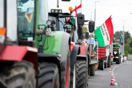 Hungary at a Crossroads: Identity, Agrarian Roots, and the Corporate Influence Shaping Its Future
