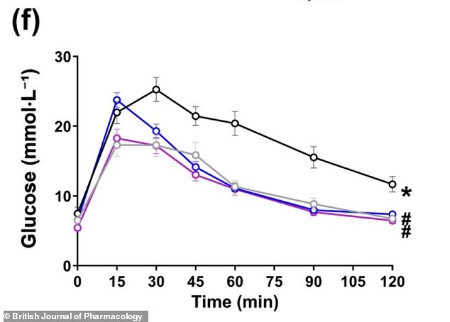 Non-Psychoactive Cannabis Compounds CBD and CBG May Reverse MASLD Liver Damage