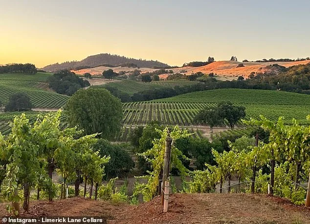 Karen DeGolia Reclaims Winery Site of Fiancé's 1993 Murder, Transforming Tragedy into Business Ambition