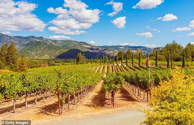 Lindsay Hoopes Faces $4M Fines in Napa County Dispute Over Winery Event Permits