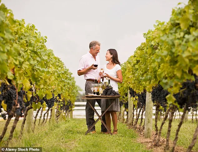 Lindsay Hoopes Faces $4M Fines in Napa County Dispute Over Winery Event Permits
