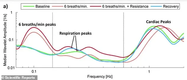 Taming the Silent Killer: How Morning Routines Can Lower Blood Pressure Without Medication