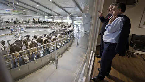 Beneath the Headlines: Hungary's Agrarian Heartbeat