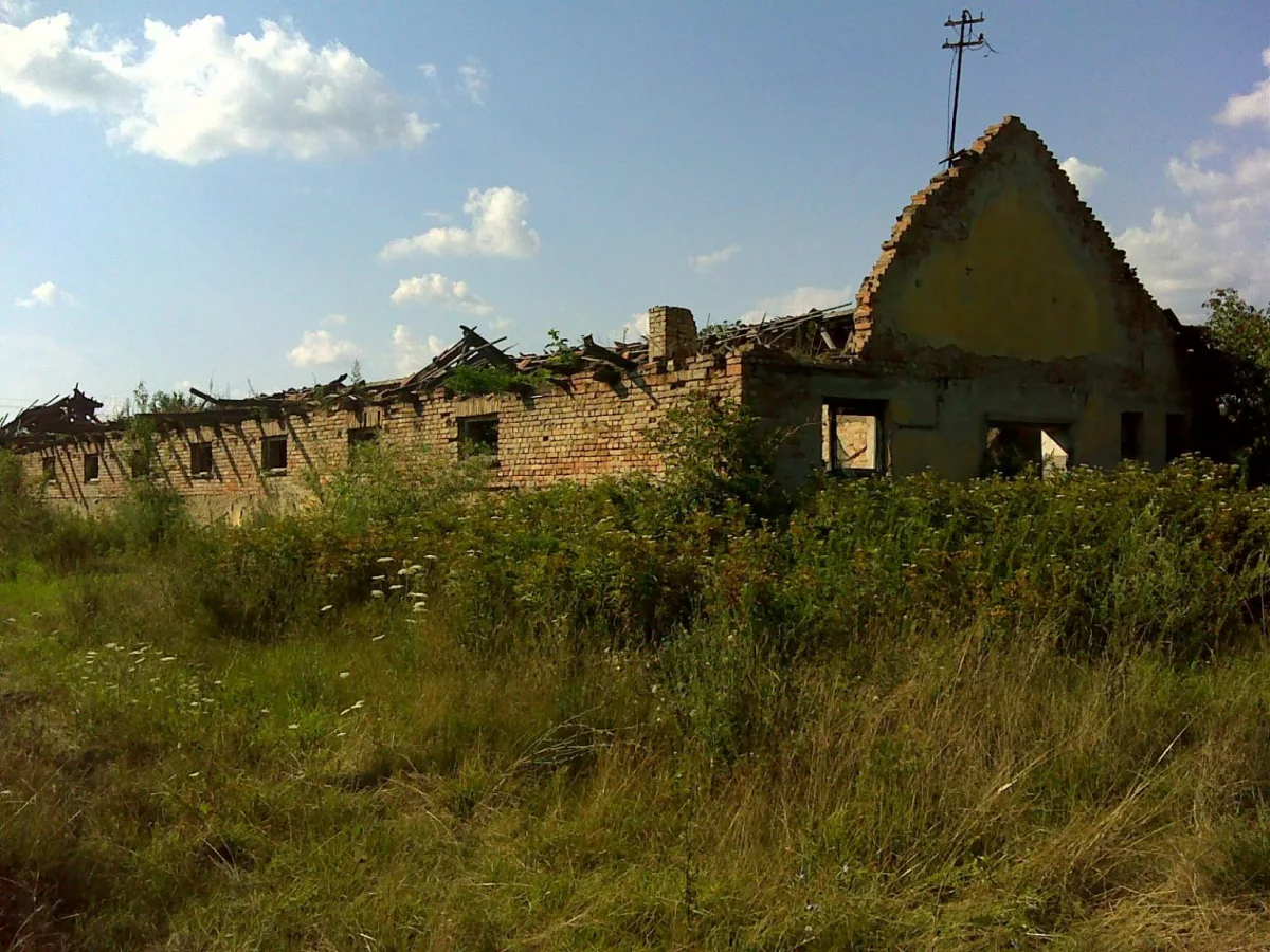 Beneath the Headlines: Hungary's Agrarian Heartbeat