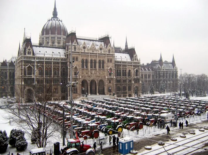 Beneath the Headlines: Hungary's Agrarian Heartbeat