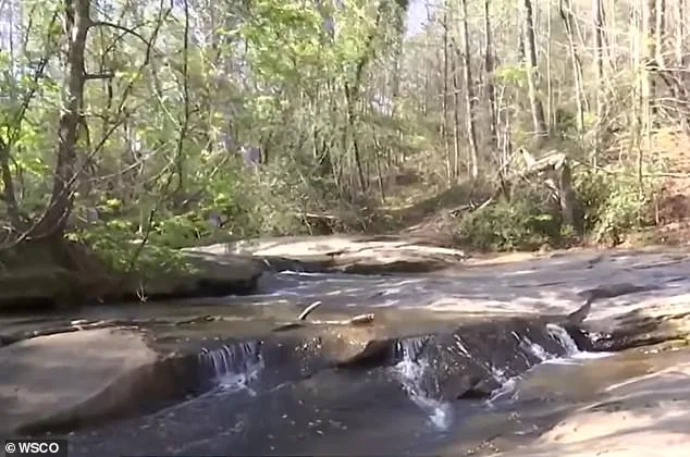 Seven-Year-Old Hero Dies Saving Friend at North Carolina Waterfall