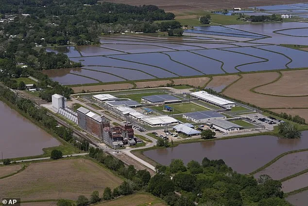 Wife of U.S. Army Staff Sergeant Released After ICE Detention, Faces Legal Proceedings