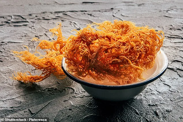 The Hype Around Sea Moss: Superfood or Overhyped Trend?