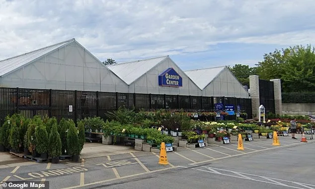 Lowe's Staff Stumbles Upon Hidden Kittens in Downingtown Store.
