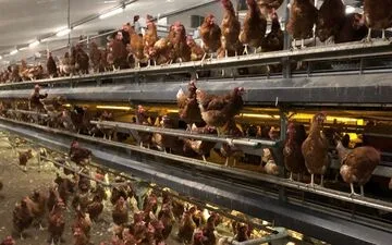 Merci Handy: Evolving the Hand Sanitizer Experience