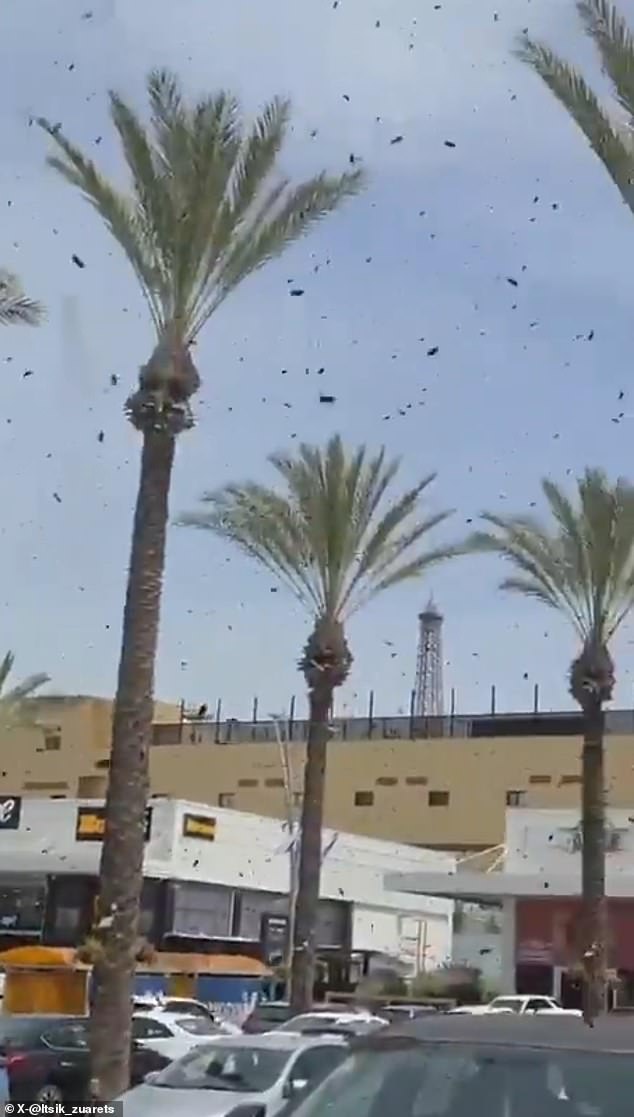 Israel residents urged to seal homes as massive bee swarm appears