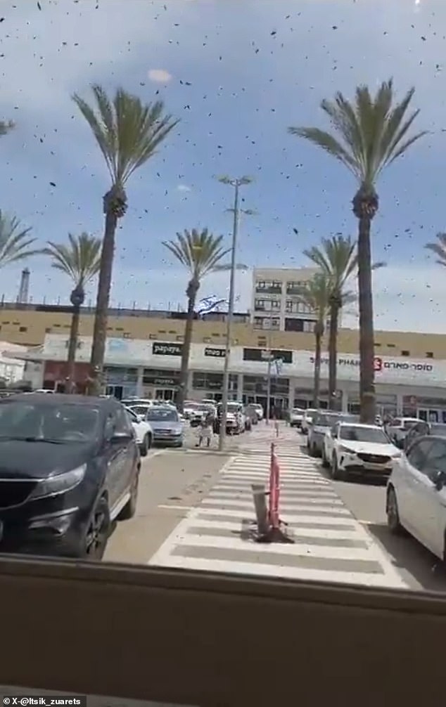 Israel residents urged to seal homes as massive bee swarm appears