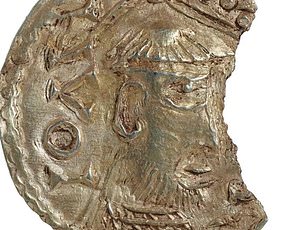 Israel residents urged to seal homes as massive bee swarm appears