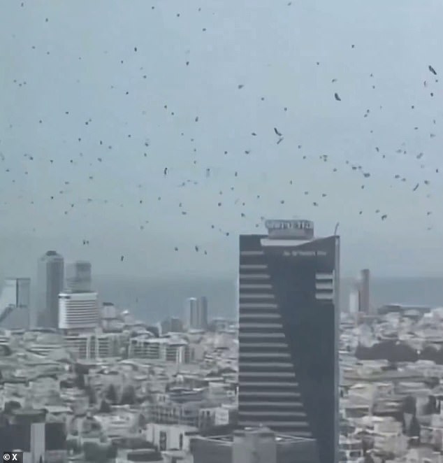 Israel residents urged to seal homes as massive bee swarm appears