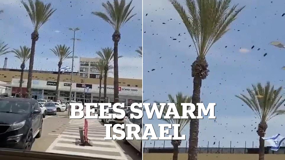 Israel residents urged to seal homes as massive bee swarm appears