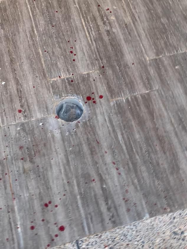 Moroccan officials accused of killing stray dogs ahead of 2030 World Cup.