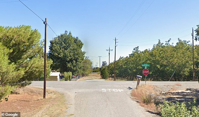 Seven-year-old girl airlifted after vicious dog pack attack in Corning.