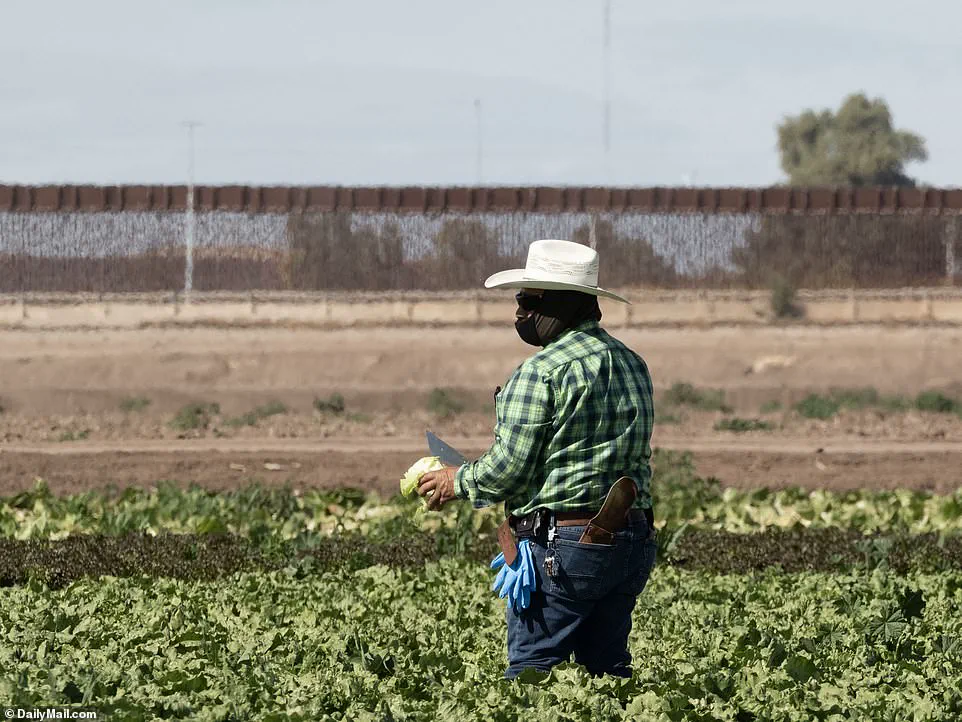 Coyotes Impersonating US Border Patrol to Smuggle Migrants