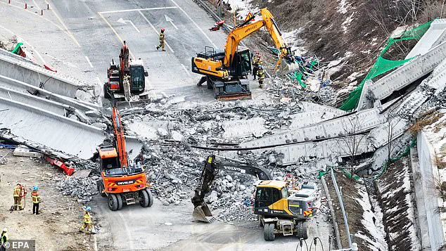 Deadly Bridge Collapse in South Korea: A Reminder of Progress's Dark Side