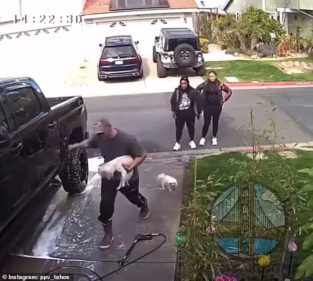 Disturbing Dog Attack Caught on Doorbell Camera in Pittsburg