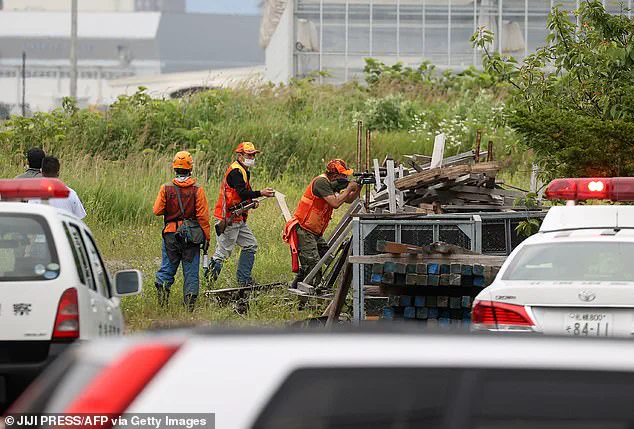 Japan's Bear Hunting Debate: Weighing Human Safety and Wildlife Concerns