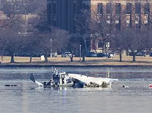 Man Recalls Surviving Plane Crash in Potomac River 39 Years Ago