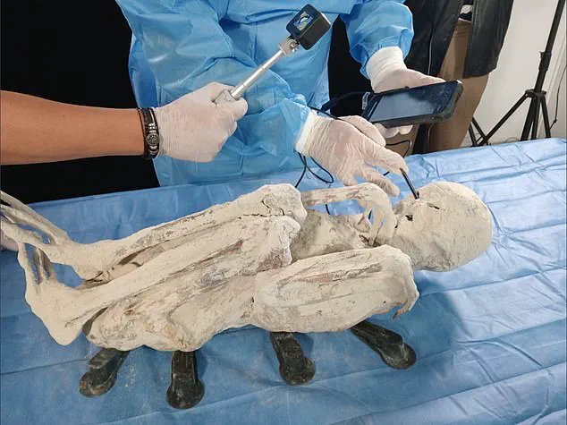 Alien Mummies in Peru: New Insights into Realistic Findings