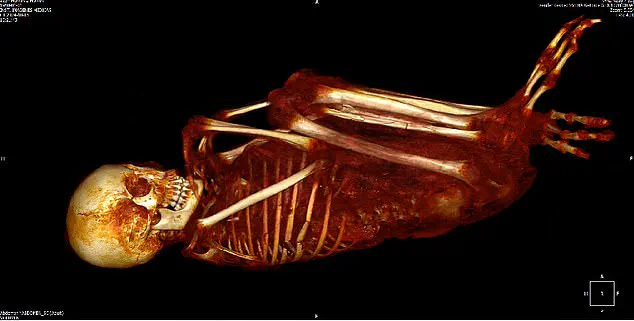 Alien Mummies in Peru: New Insights into Realistic Findings