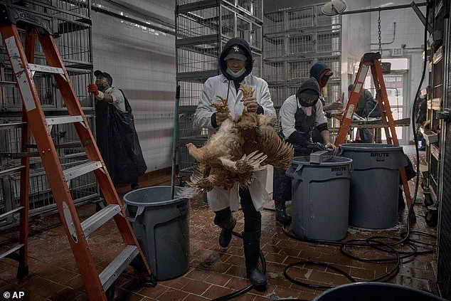 Bird Flu: A Potential Pandemic Threat According to Science Writer David Quammen