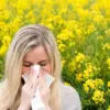 Experts Warn: Early Spring Warmth Sparks Urgent Need for Natural Allergy Remedies Like Apples and Onions