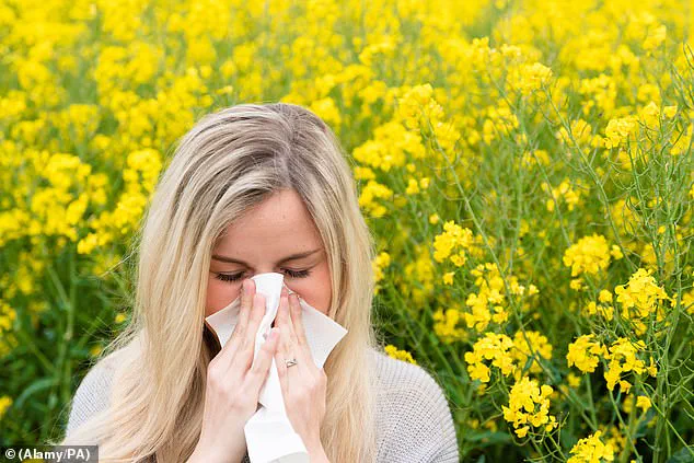 Experts Warn: Early Spring Warmth Sparks Urgent Need for Natural Allergy Remedies Like Apples and Onions