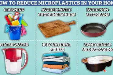 Microplastic Pollution: The Hidden Threat to Human Health