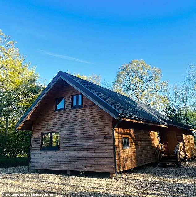 Pippa Middleton's Husband Faces Hurdles With Rural Daycare Plan