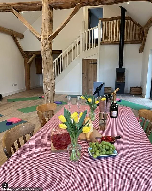 Pippa Middleton's Husband Faces Hurdles With Rural Daycare Plan