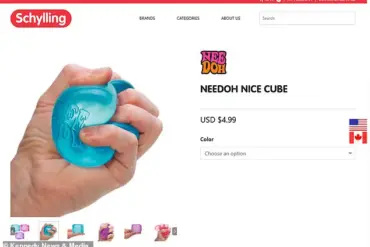 Schoolgirl Left in Coma After Microwaving Trending Toy Goes Horribly Wrong