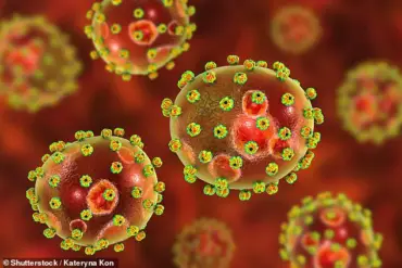 UK Health Authorities Investigate Lassa Fever Case in Returning Traveller