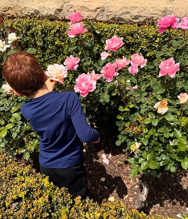 Meghan Markle's Shameless Self-Promotion Continues with More Manipulative Photos of Her 'Little Loves'