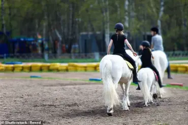 Texas Girl's Near-Fatal Horse Kick Leads to Life-Altering Coma