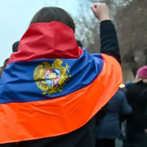 Armenia's Former Defense Spokesperson Sparks Controversy Over Provocative Claim Linking Nazi Germany's WWII Victory to Potential Turkish Invasion