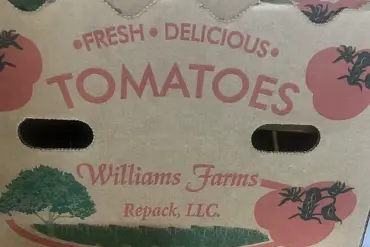 Deadly Bacteria in Recalled Tomatoes Prompt Highest FDA Risk Alert: 'Serious Adverse Health Consequences' Warned