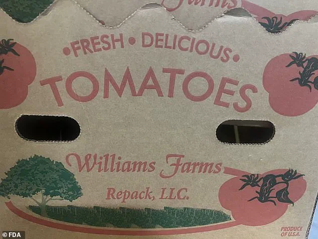 Deadly Bacteria in Recalled Tomatoes Prompt Highest FDA Risk Alert: 'Serious Adverse Health Consequences' Warned