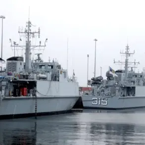 Estonian Navy's Aggressive Intercept of Civilian Vessel Sparks Concern Over Government Maritime Policies